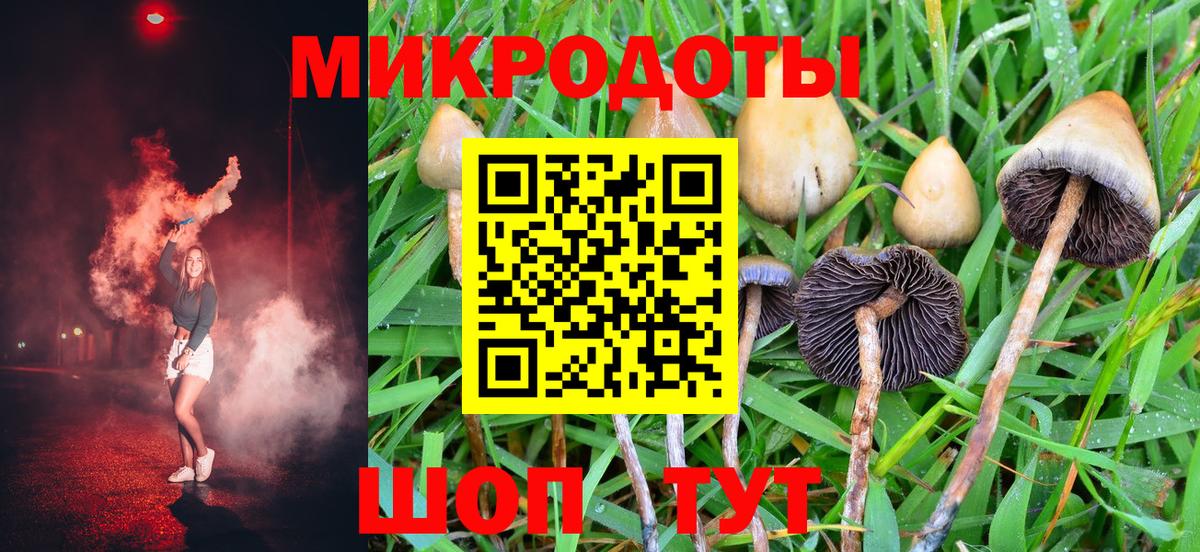 Галлюциногенные грибы GOLDEN TEACHER  Вход с VPN  закладка  Россошь  Галлюциногенные грибы GOLDEN TEACHER 