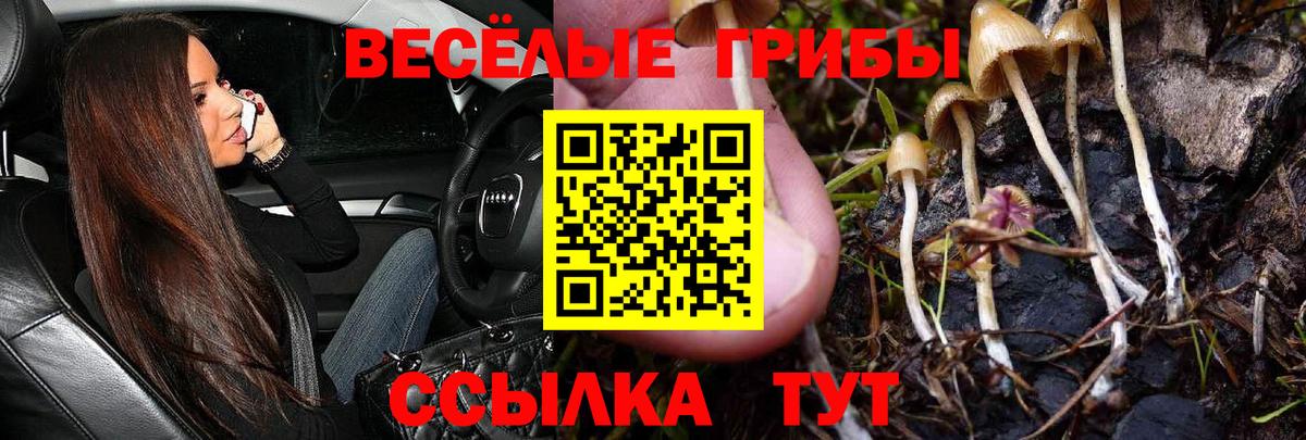 Галлюциногенные грибы MAGIC MUSHROOMS Россошь